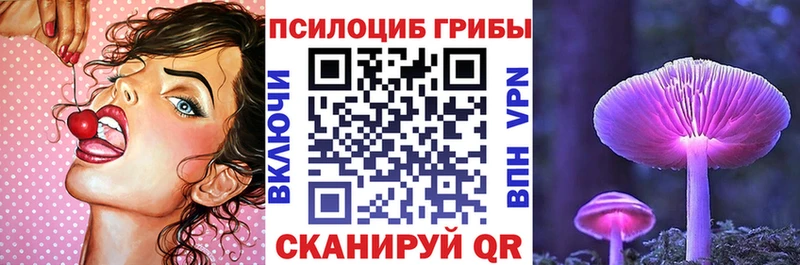 Псилоцибиновые грибы Cubensis  блэк спрут ONION  площадка клад  купить  цена  Благовещенск 