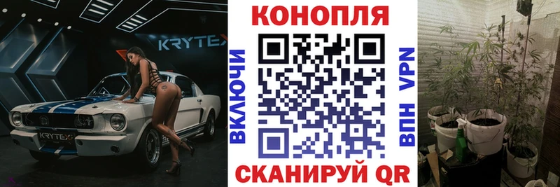 Шишки марихуана VHQ сколько стоит Благовещенск